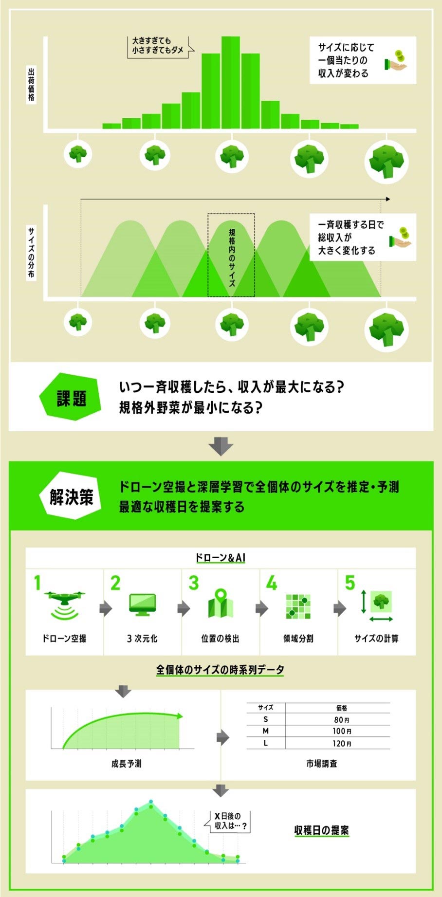 日本東京大學突破性研究:用無人機和AI人工智能來預測最佳的收穫日期!